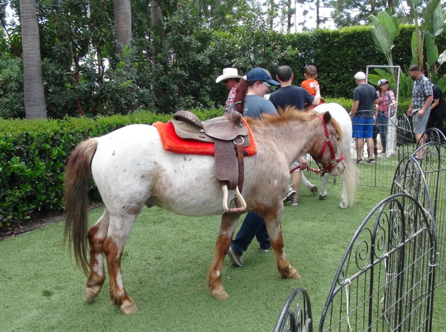 Pony Rides Rental In Los Angeles Pony Carrousel Wheel In Los Angeles